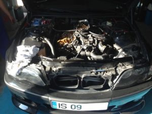 IMG_1326